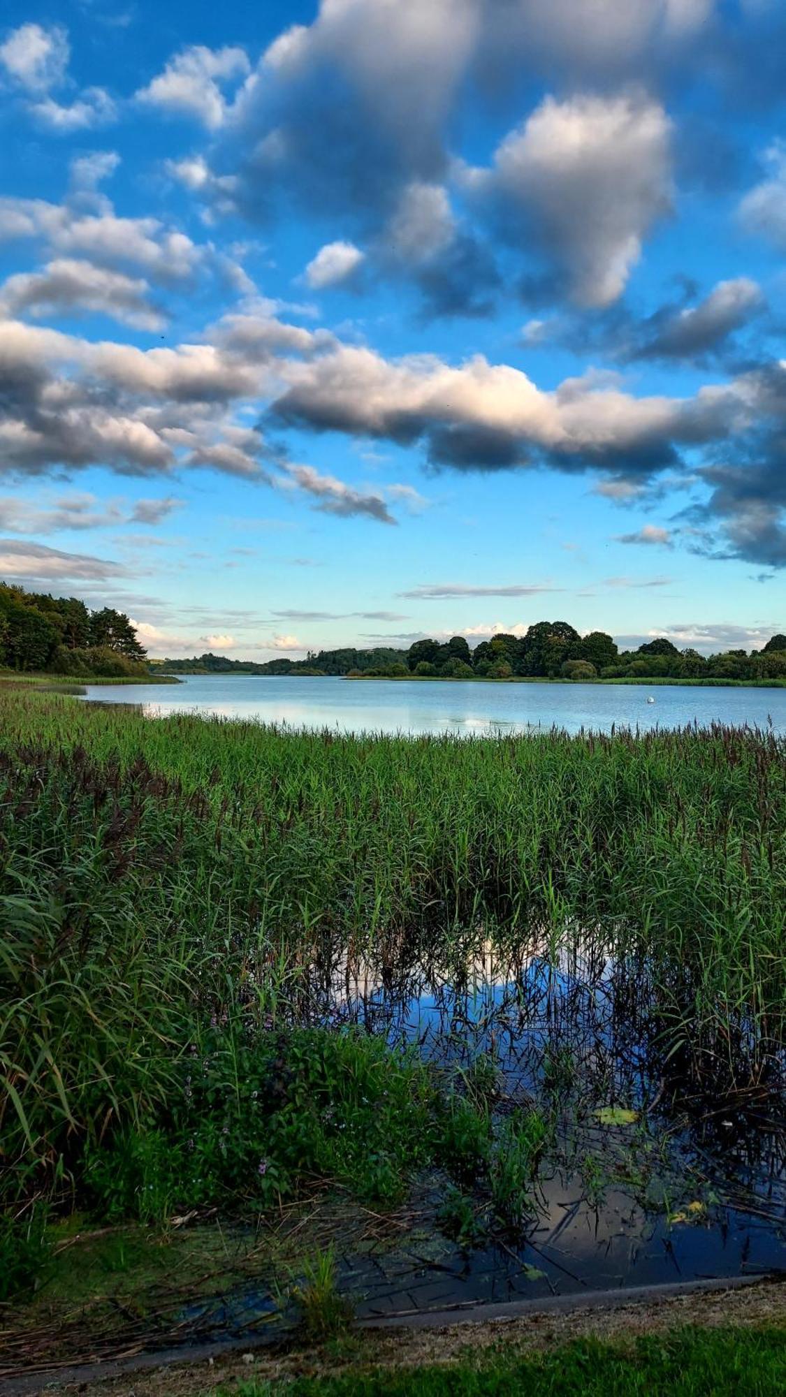 The Hillcrest, Luxury Accommodation In Castleblayney Town Exteriér fotografie